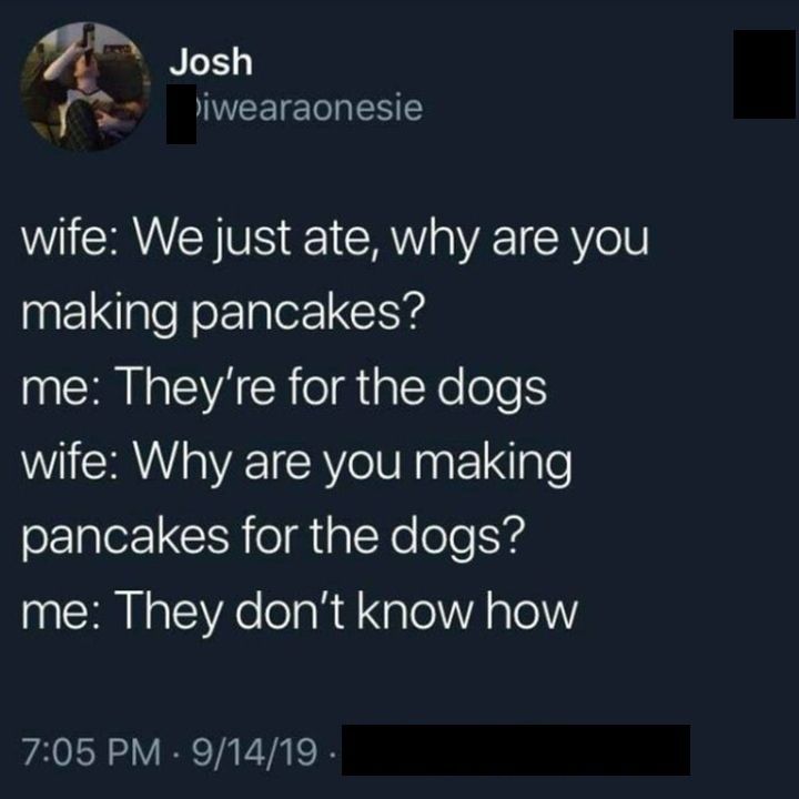 we just ate, why are you making pancakes?, they're for the dogs, why are you making pancakes for the dogs?, they don't know how