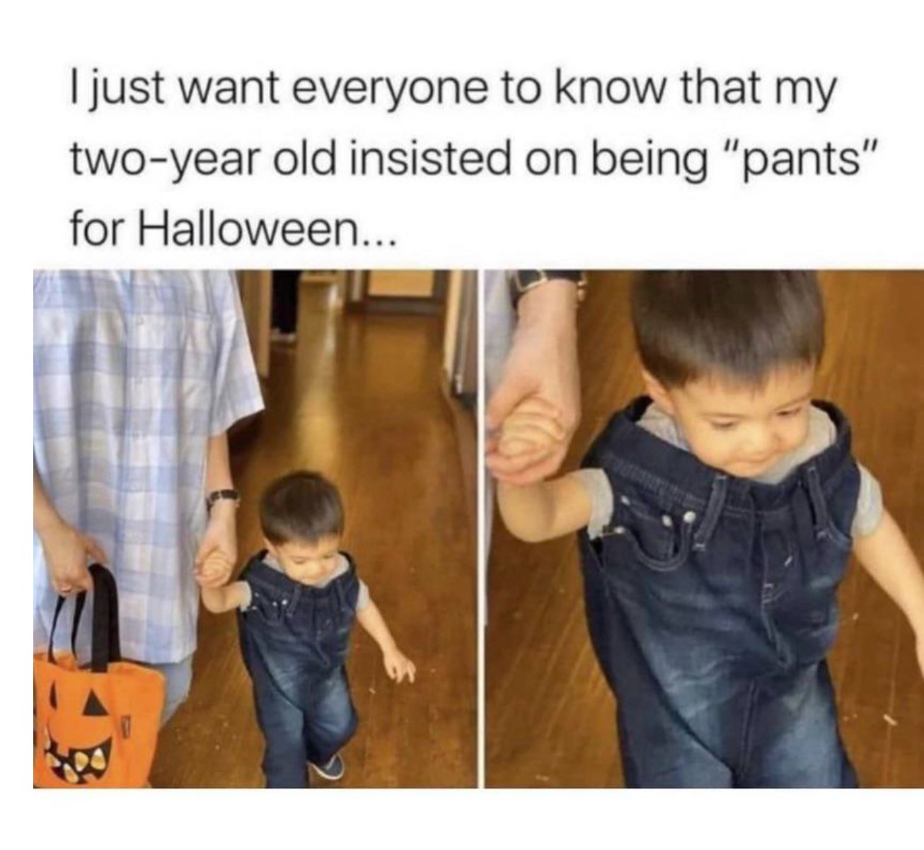 i just want everyone to know that my two year old insisted on being pants for halloween