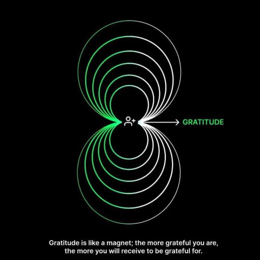 gratitude is like a magnet, the more grateful you are, the more you will receive to be grateful for
