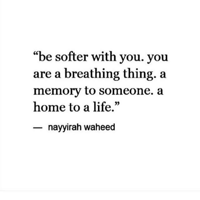 be softer with you, you are a breathing thing, a memory to someone, a home to a life