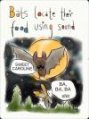 bats locate their food using sound, sweet caroline, ba ba ba, shit
