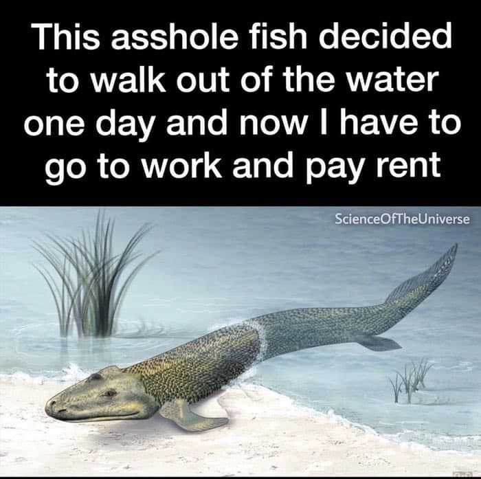 this asshole fish decided to walk out of the water one day and now i have to go to work and pay rent