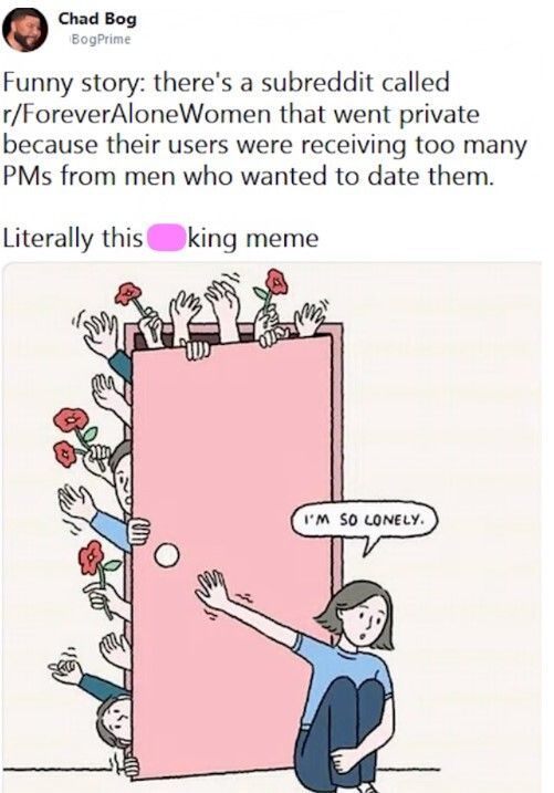 funny story, there's a subreddit called r/foreveralonewomen that went private because their users were receiving too many pms from men who wanted to date them, literally this fucking meme, i'm so lonely, men clamoring at door