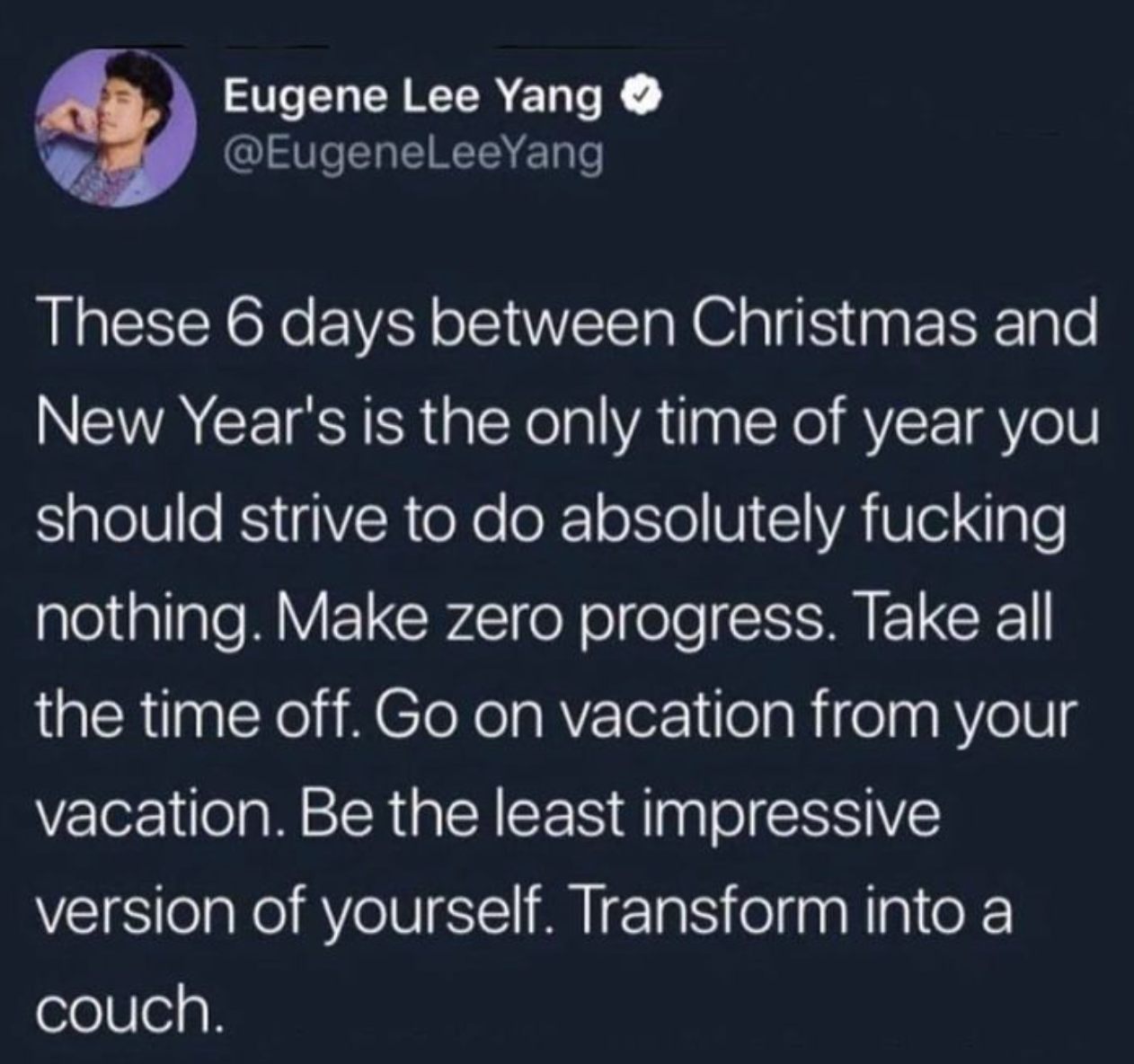 these 6 days between christmas and new year's ever is the only time of year you should strive to do absolutely nothing, make zero progress, go on vacation from your vacation, transform into a couch