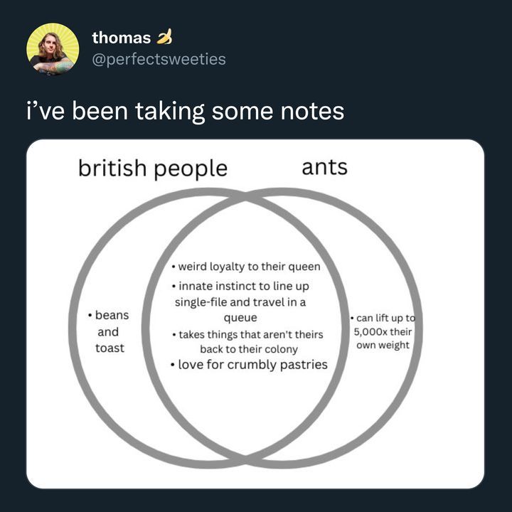 british people and ants, i've been taking some notes, beans and toast, can lift up to 5000x their own body weight, weird loyalty to their queen, takes things that aren't theirs back to their colony, love for crumbly pastries