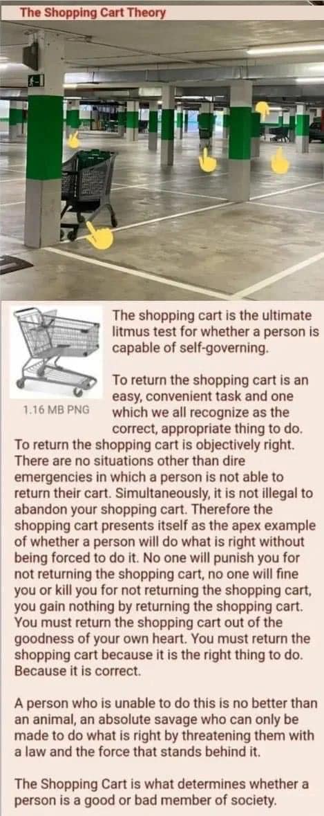 the shopping cart theory, the shopping cart is what determines whether a person is a good or bad member of society