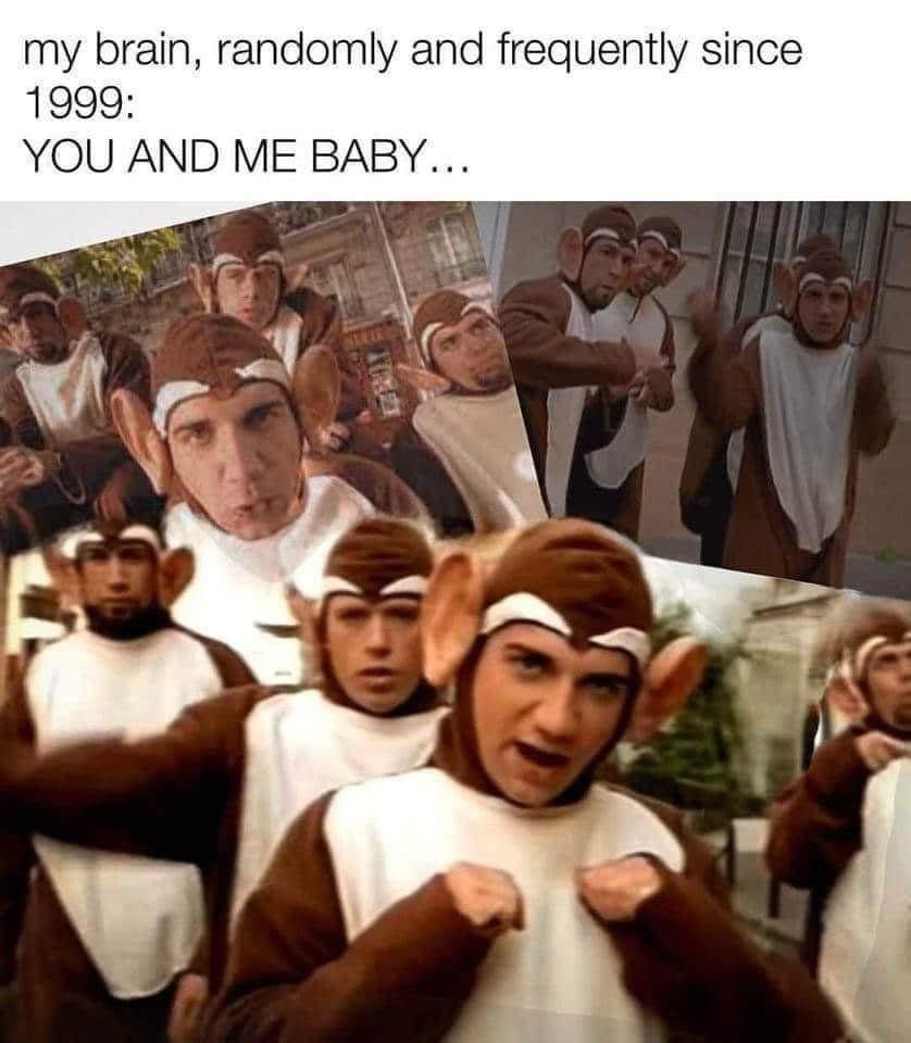 my brain, randomly and frequently since 1999, you and me baby ain't nothing but mammals, bloodhound gang