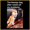 the therapy dog after i share all my problems, traumatized