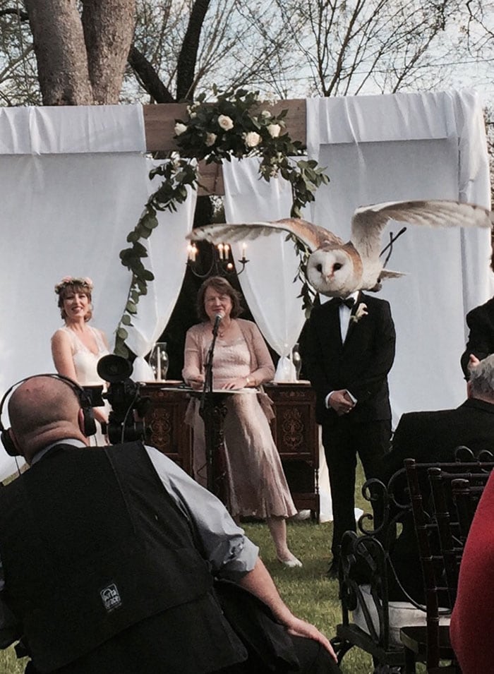 no one says no to owl man, especially not today, on the day of owl man's wedding, perfectly timed photograph
