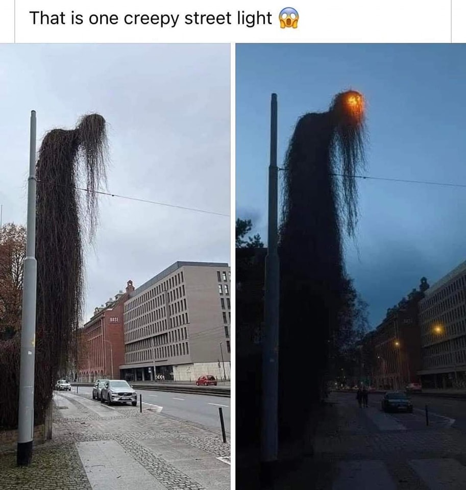 that is one creepy street light, horror