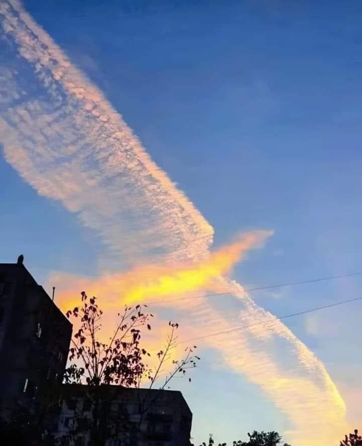 clouds formed like phoenix bird