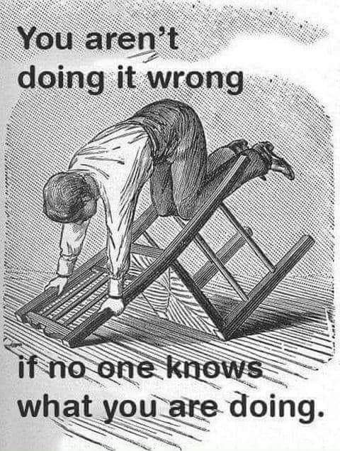 you aren't doing it wrong if no one knows what you are doing, meme
