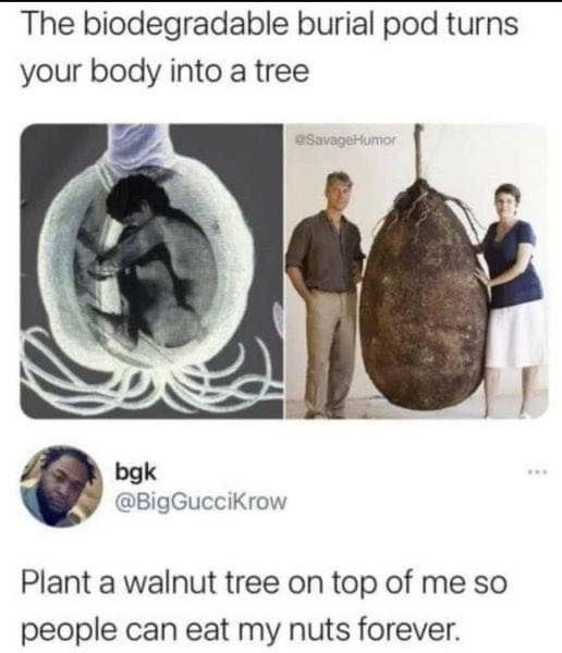 the biodegradable burial pod turns your body into a tree, plant a walnut tree on top of me so people can eat my nuts forever