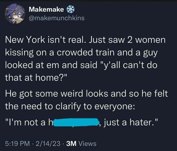 new york isn't real, just saw 2 women kissing on a crowded train and a guy looked at em and said, y'all can't do that at home?, i'm not a homophobe, just a hater