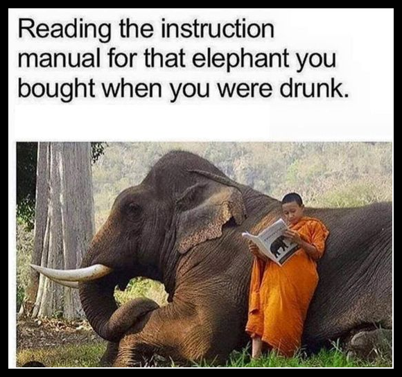 reading the instruction manual for that elephant you bought when you were drunk