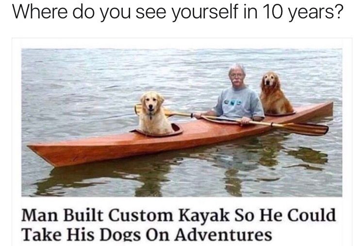 where do you see yourself in 10 years?, man built custom kayak so he could take his dogs on adventures