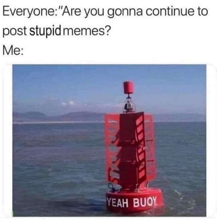are you going to continue to post stupid memes, yeah buoy