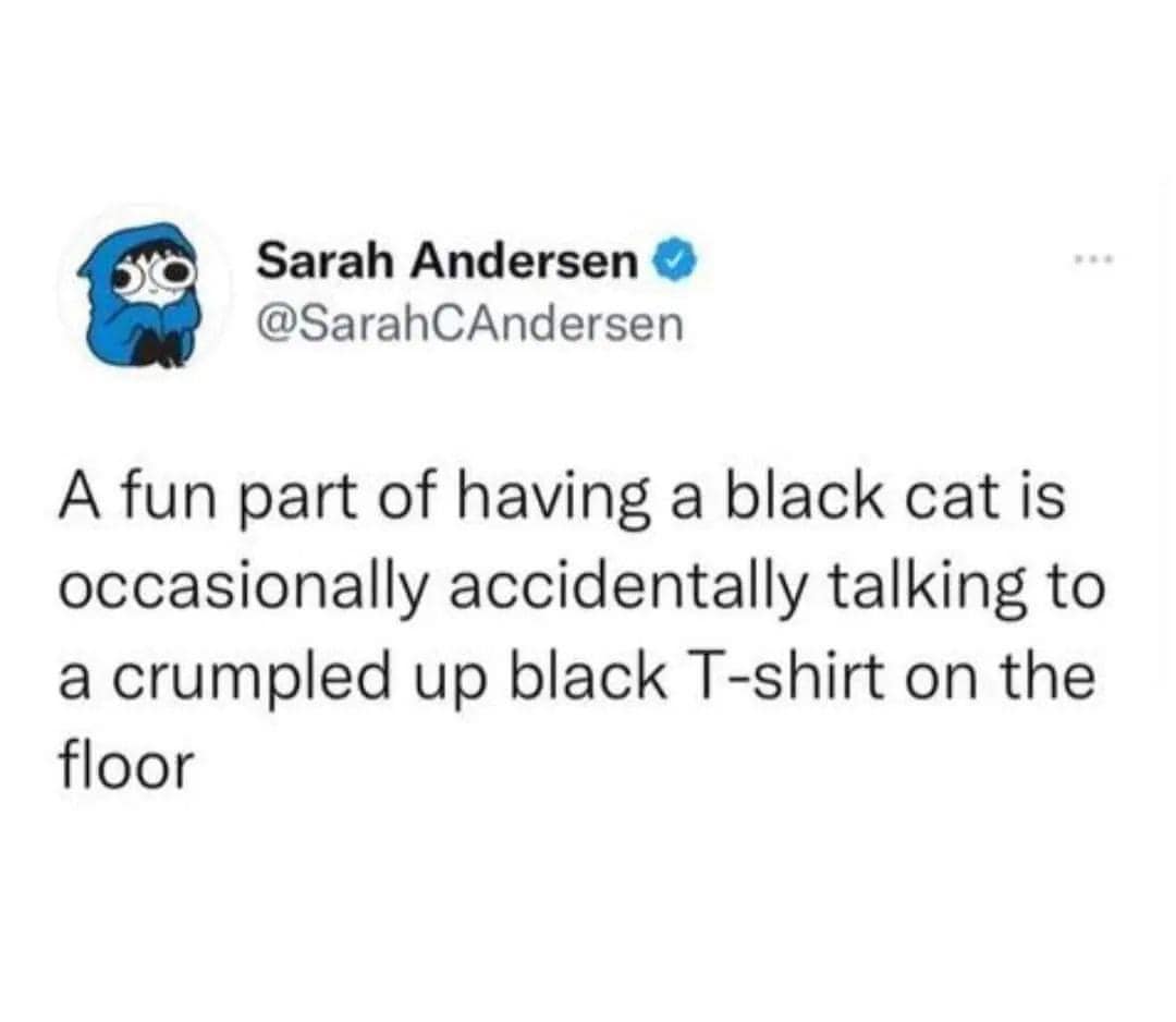 a fun part of having a black cat is occasionally accidentally talking to a crumpled up black tshirt on the floor