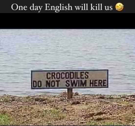 one day english will kill us, crocodiles do not swim here