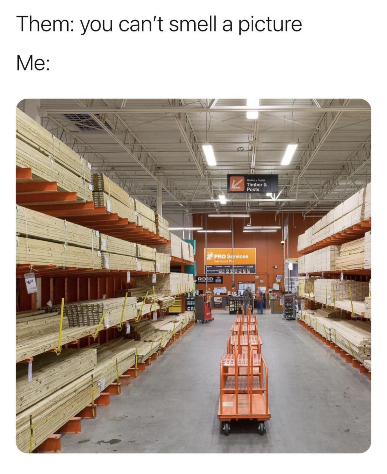 them, you can't smell a picture, me, timber and posts aisle at home depot