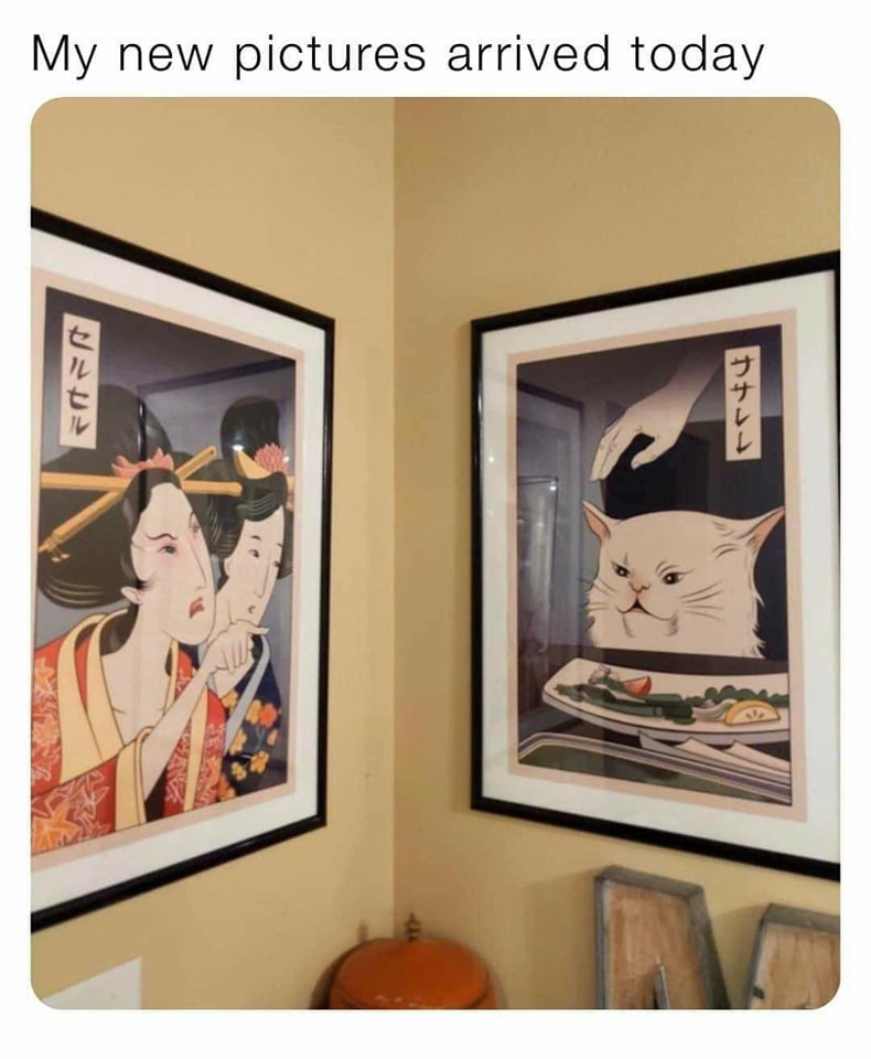 my new framed pictures arrived today, asian style lady and cat meme art