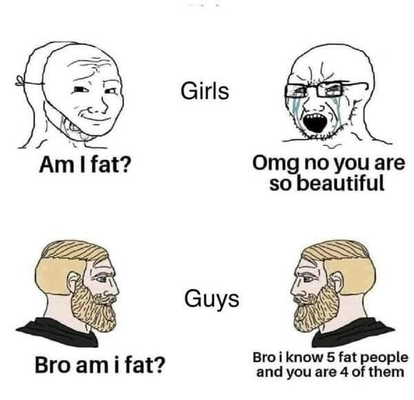 am i fat, girls, omg no you are so beautiful, bro am i fat, bro i know 5 fat people and you are 4 of them