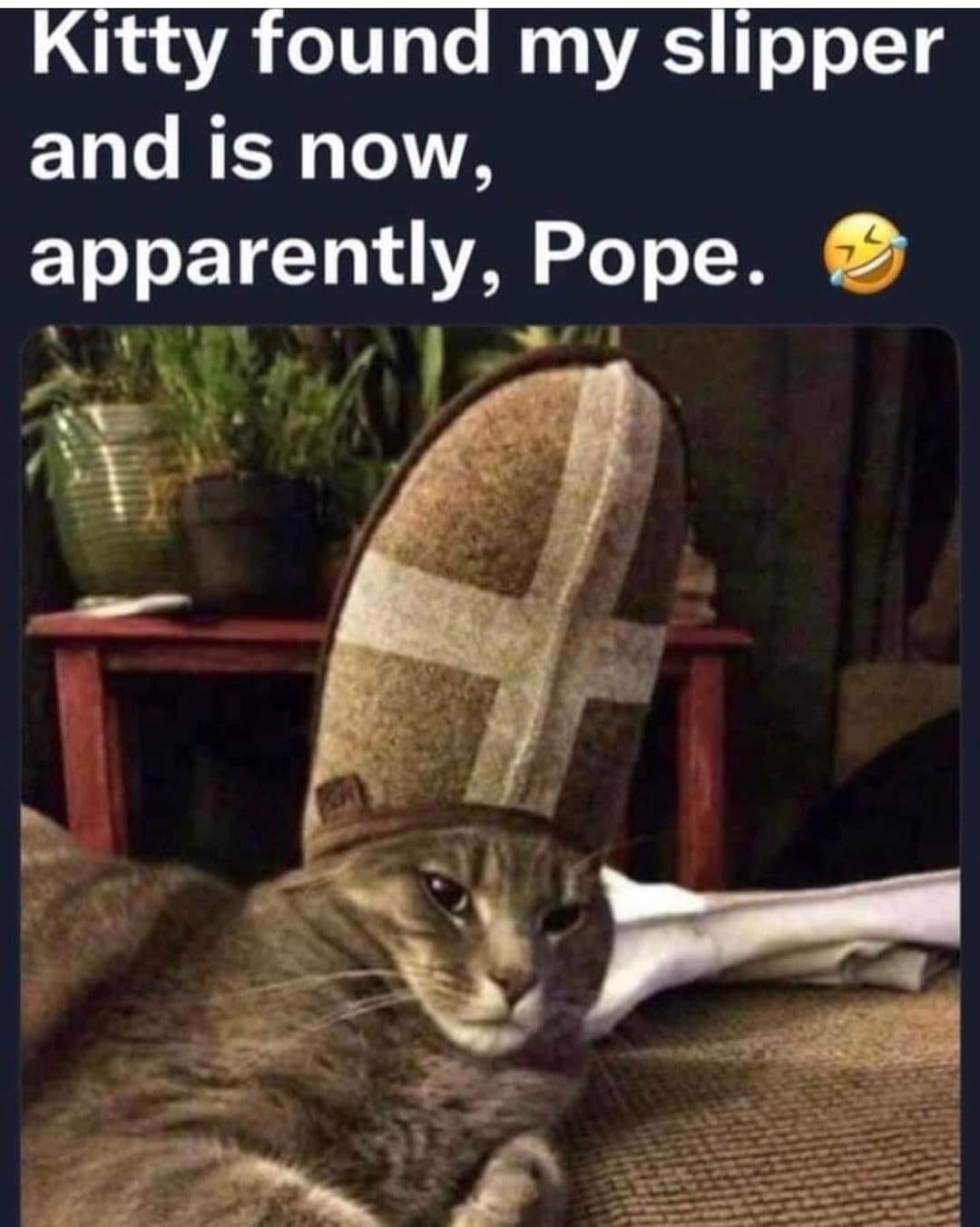 kitty found my slipper and is now apparently, pope