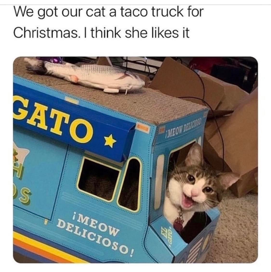 we got our car a taco truck for christmas, i think she likes it