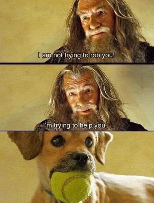i'm not trying to rob you, i'm trying to help you, puppy with ball in mouth, meme, lol