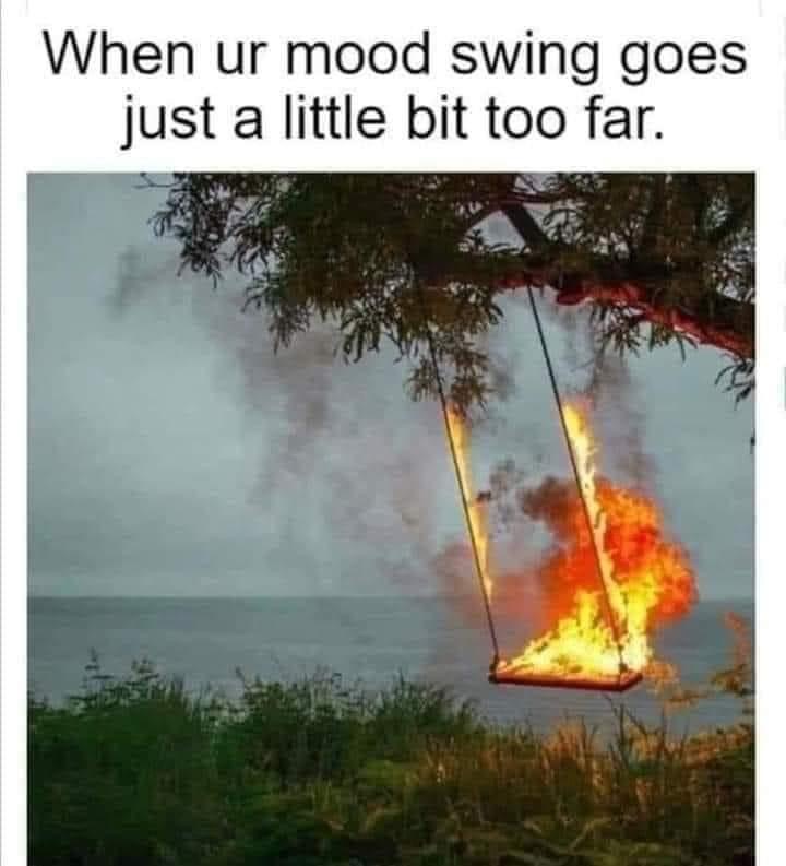 when your mood swing goes just a little bit too far, tree swing on fire