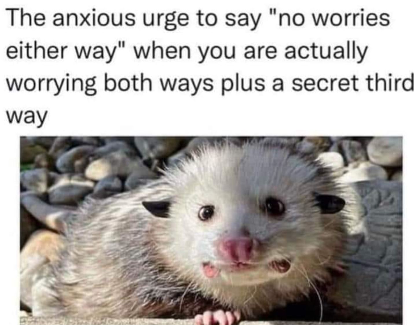the anxious urge to say, no worries either way, when you are actually worrying both ways plus a secret third way, meme
