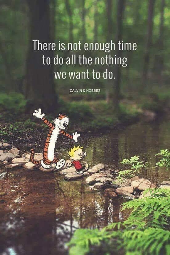 there is not enough time to do all the nothing we want to do