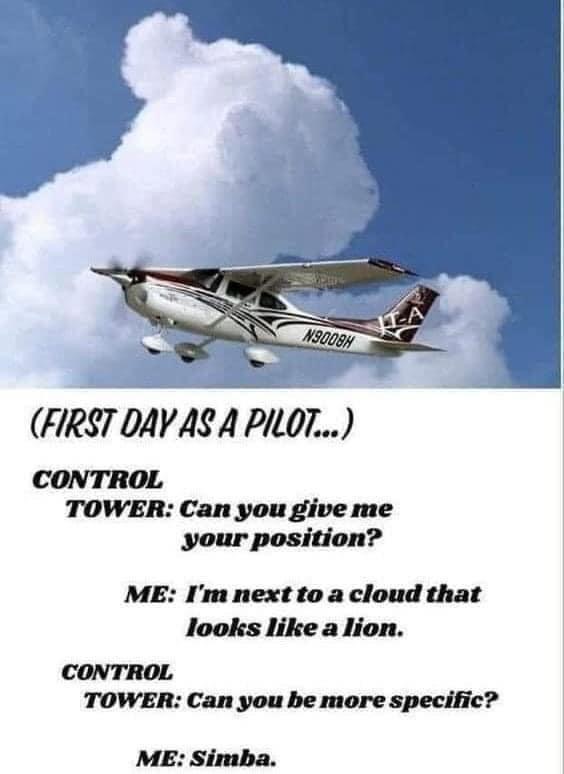 first day as a pilot, control tower, can you give me your position, i'm next to a cloud that looks like a lion, can you be more specific, simba