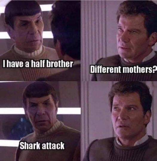 i have a half brother, different mothers?, shark attack, meme