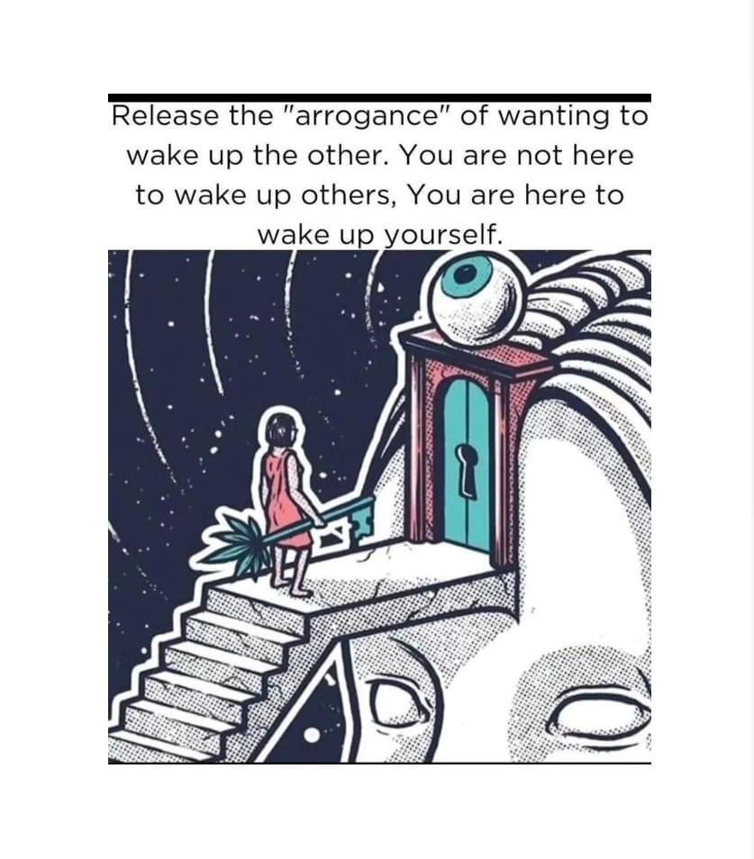 release the arrogance of wanting to wake up the other, you are not here to wake up others, you are here to wake up yourself