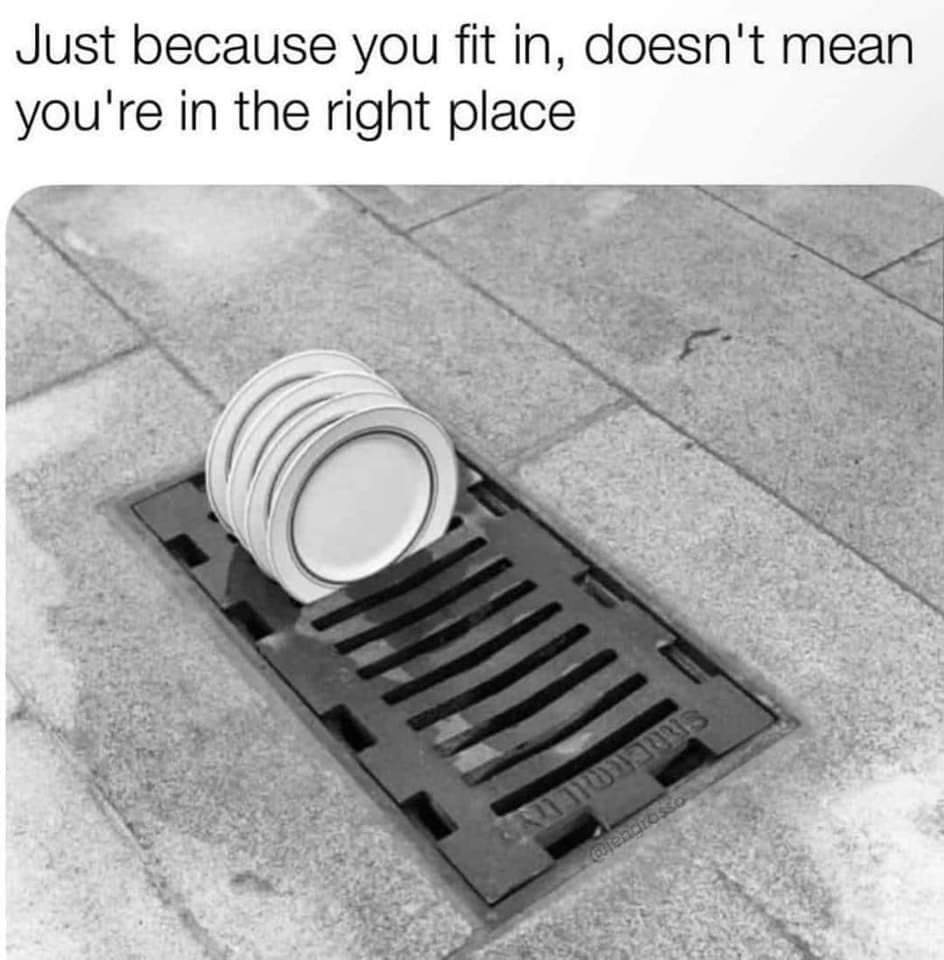 just because you fit in doesn't mean you're in the right place, dinner plates in sewer grate