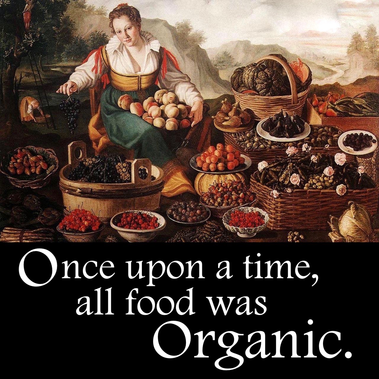 once upon a time, all food was organic