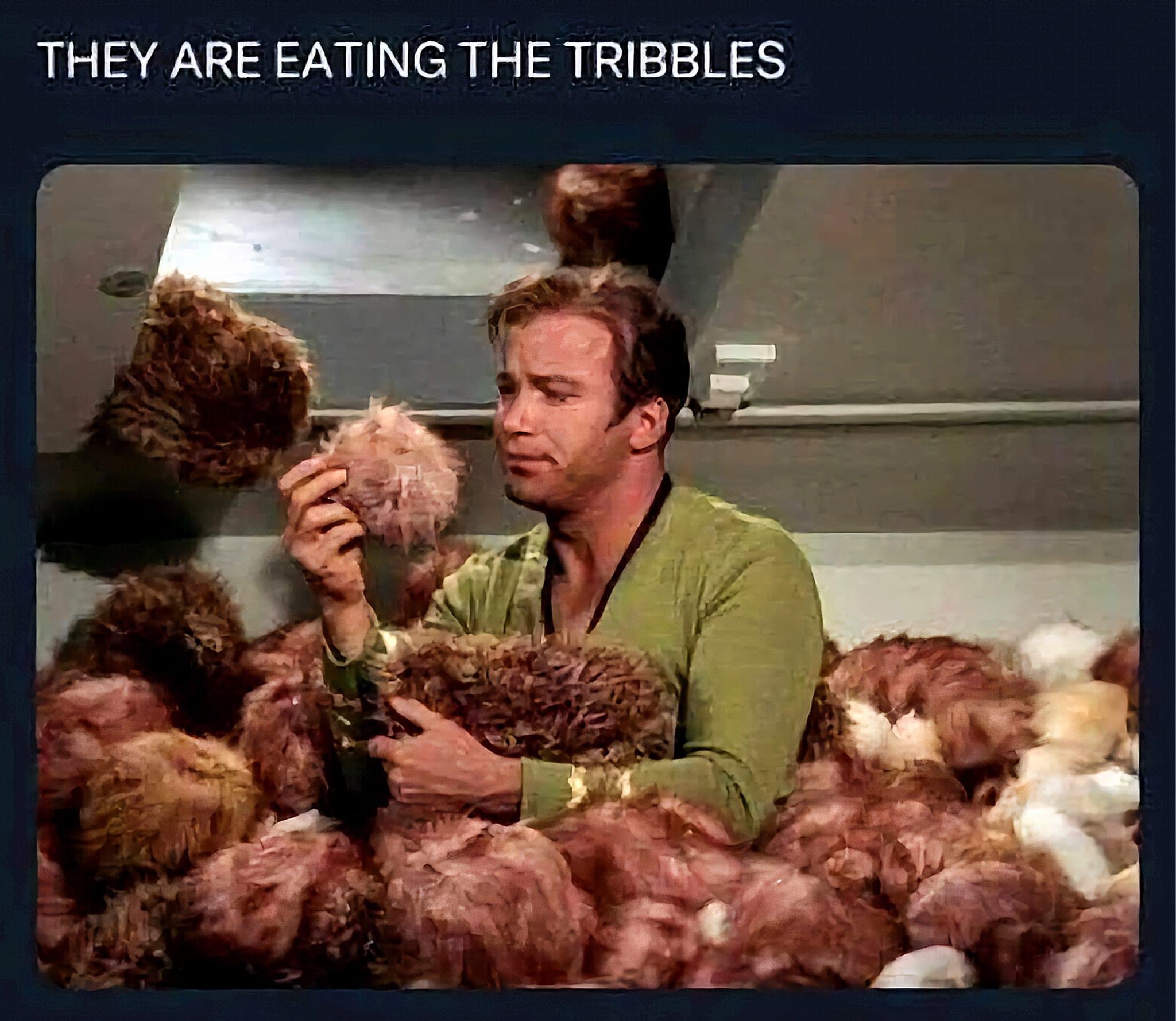 they are eating the tribbles, star trek, trump