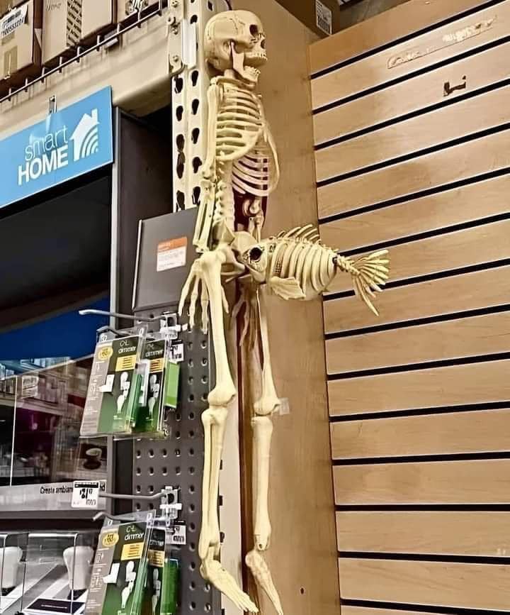 best halloween decoration ever, skeleton with fish skeleton attached to crotch