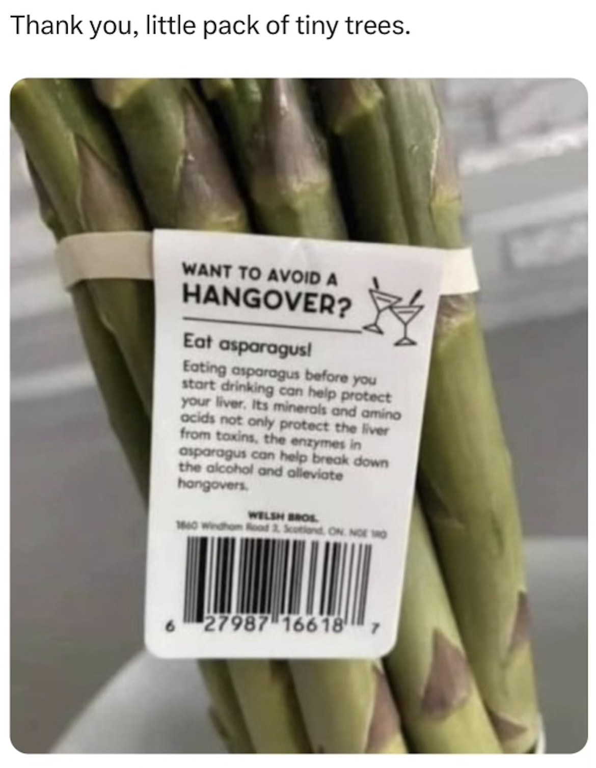 want to avoid a hangover, eat asparagus, thank you little pack of tiny trees