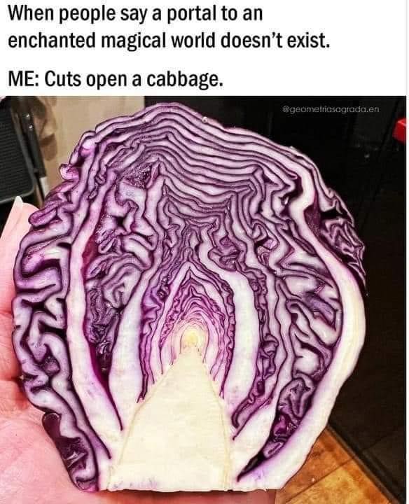 when people say a portal to an enchanted magical world doesn't exist, me, cuts open a cabbage