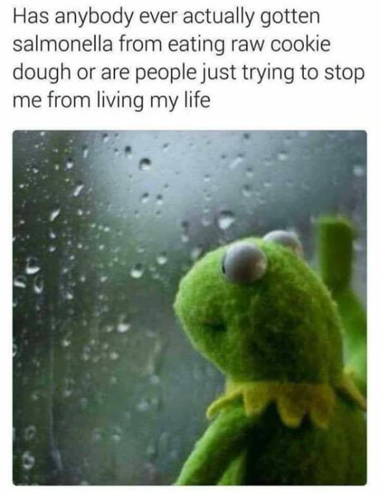 has anybody ever actually gotten salmonella from eating raw cookie dough or are people just trying to stop me from living my life?, kermit looking outside on a rainy day, meme