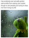 has anybody ever actually gotten salmonella from eating raw cookie dough or are people just trying to stop me from living my life?, kermit looking outside on a rainy day, meme