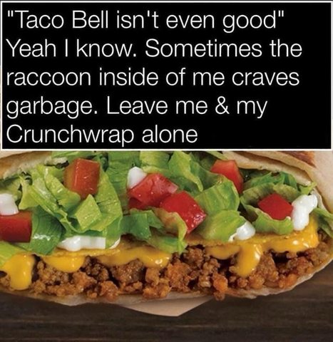 taco bell isn't even good, yeah i know, sometimes the raccoon inside of me craves garbage, leave me and my crunchwrap alone