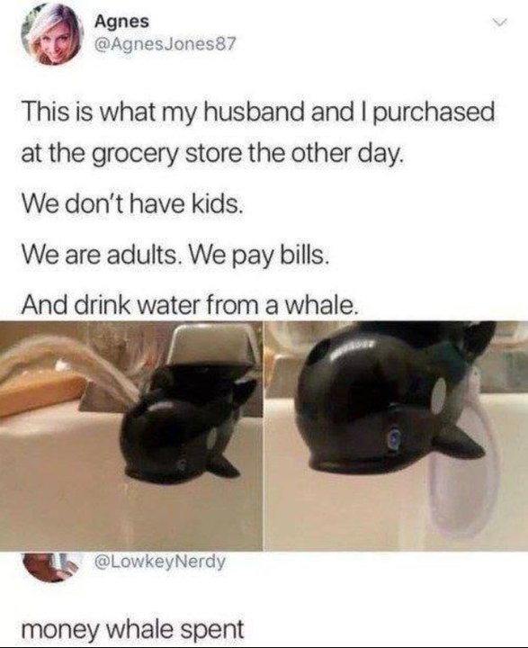 this is what my husband and i purchased at the grocery store the other day, we don't have kids, we are adults, we pay bills, and drink water from a whale, money whale spent