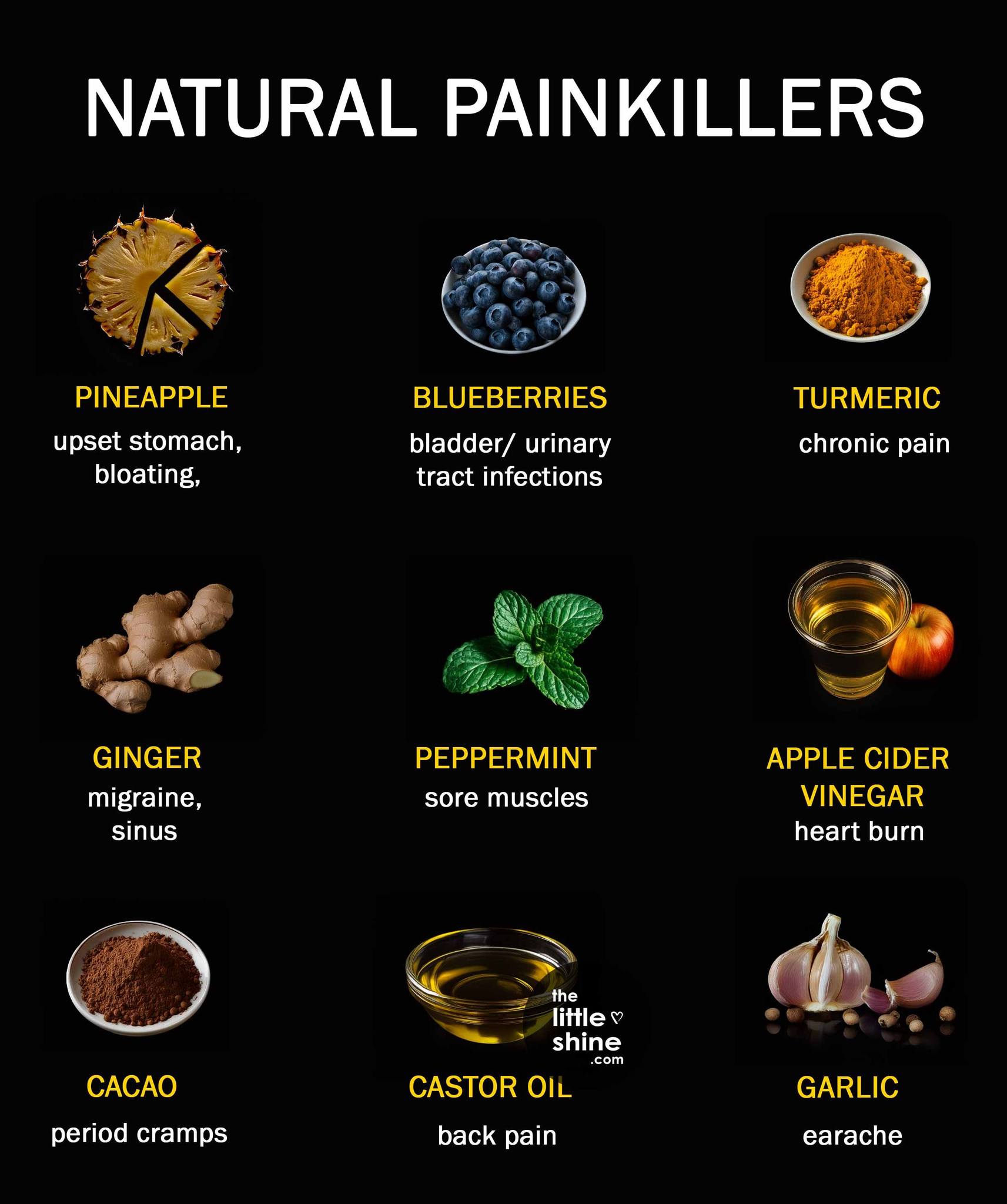 natural painkillers, pineapple, blueberries, turmeric, peppermint, apple cider vinegar, castor oil, garlic, cacao, ginger