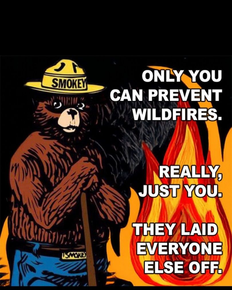 only you can prevent wildfires, really, just you, they laid everyone else off, smokey the bear