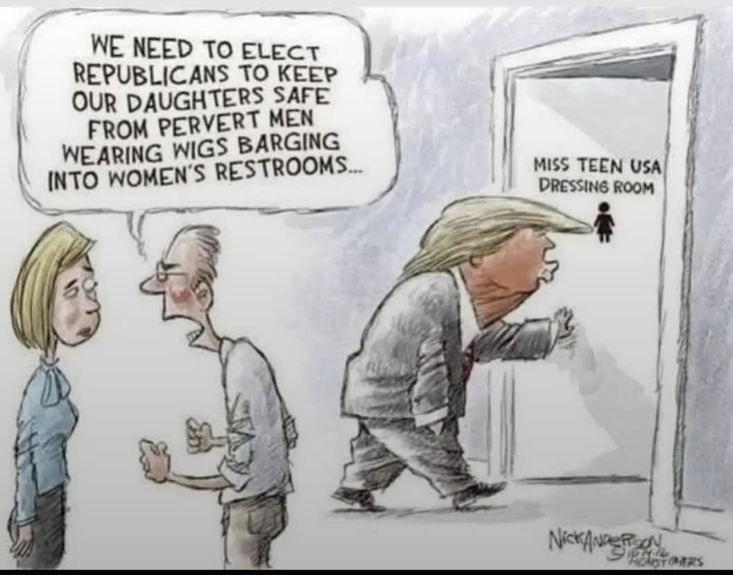 we need to elect republicans to keep our daughters safe from pervert men wearing wigs barging into women's restrooms