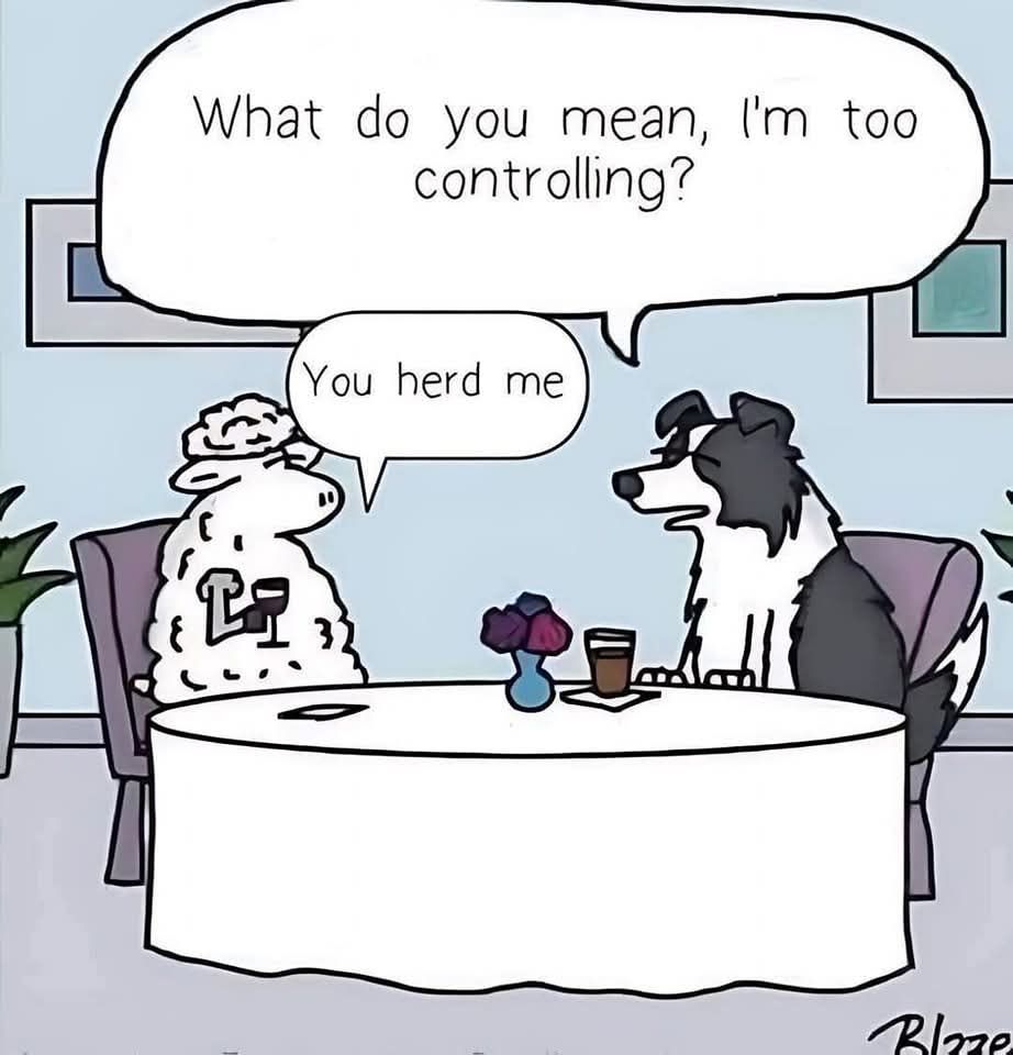 what do you mean i'm too controlling, you herd me