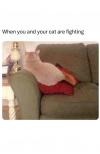 when you and your cat are fighting, pouting pussy